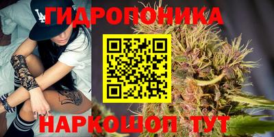 индика Гагарин