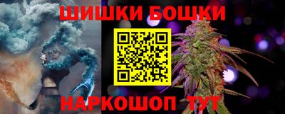 дмт Гатчина