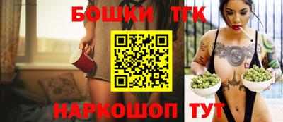 дмт Гатчина