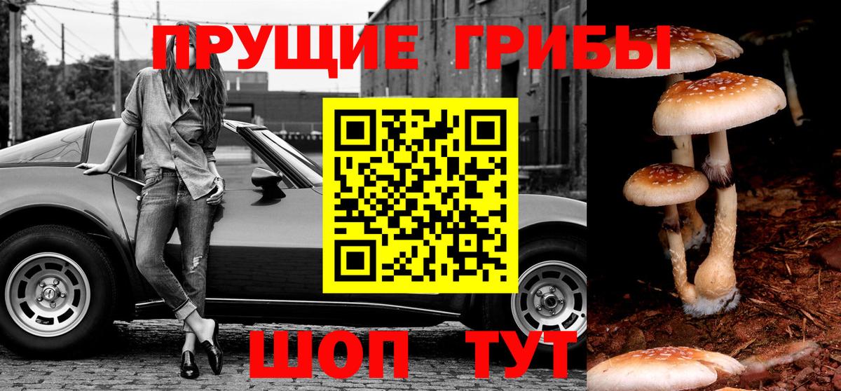 Галлюциногенные грибы прущие грибы Дальнереченск