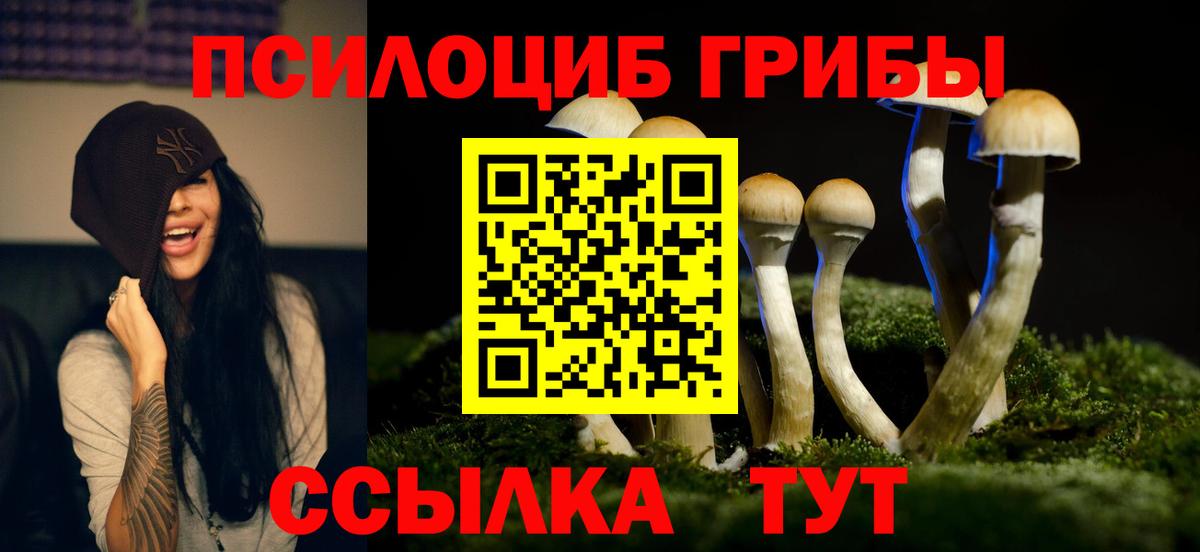 Дальнереченск  Галлюциногенные грибы Cubensis  Вход с VPN 